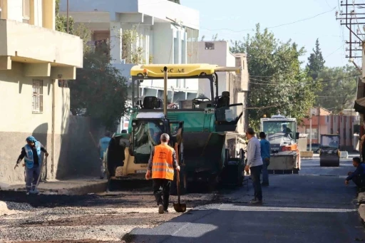 Büyükşehir’den Ceylanpınar’daki yolda asfalt çalışması
