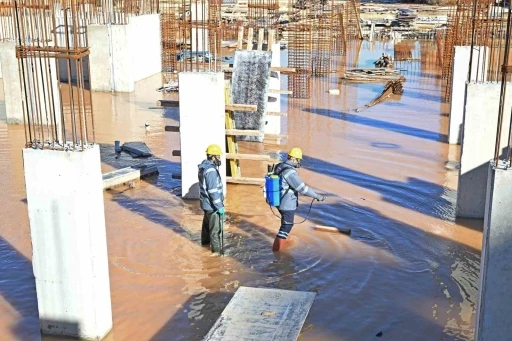 B&uuml;y&uuml;kşehir&rsquo;den haşere ve vekt&ouml;rlere karşı kış m&uuml;cadelesi
