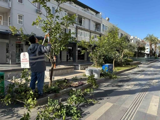 B&uuml;y&uuml;kşehir&rsquo;den Kemer&rsquo;de peyzaj d&uuml;zenlenesi
