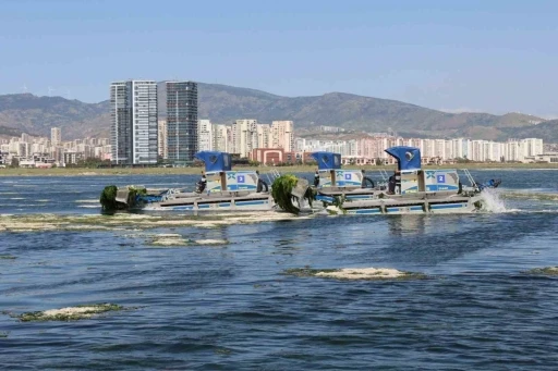 B&uuml;y&uuml;kşehir&rsquo;den K&ouml;rfez&rsquo;de temizlik mesaisi

