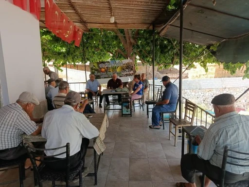 Büyükşehir'den Zeytin Üreticisine Destek