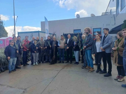 B&uuml;y&uuml;kşehir harekete ge&ccedil;ti, Dat&ccedil;a&rsquo;da fidanlar &uuml;reticilerle buluştu
