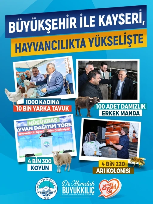 B&uuml;y&uuml;kşehir ile Kayseri, hayvancılıkta y&uuml;kselişte
