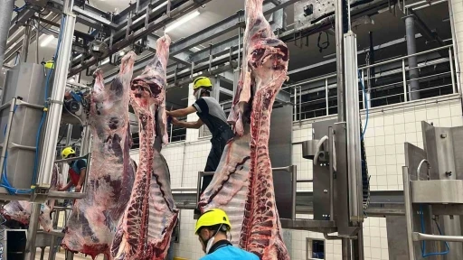 B&uuml;y&uuml;kşehir mezbahasında 6 bin 29 kesim yapıldı
