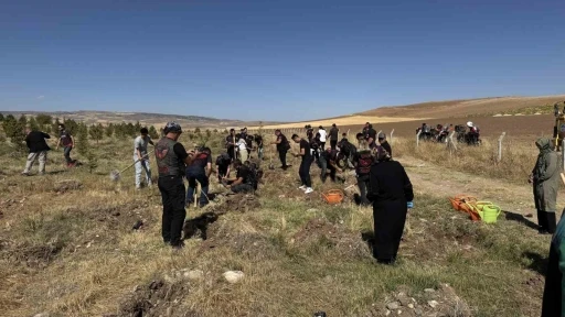 Büyükşehir, Sarımsaklı’da bin 500 fidanı toprakla buluşturdu
