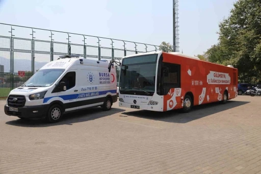 Büyükşehir, yangın bölgesindeki yaraları sarmaya başlıyor
