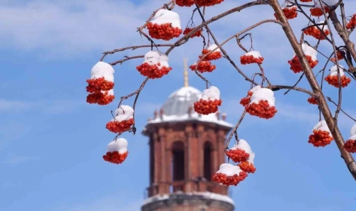 Buzlanma, don ve &ccedil;ığa dikkat
