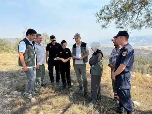 Çal’da çıkan orman yangını söndürüldü
