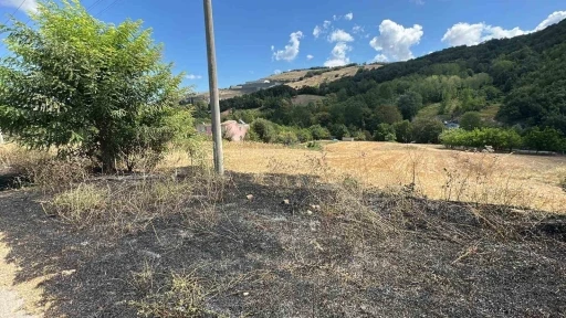 Çalılık alandaki yangın ormana sıçramadan söndürüldü
