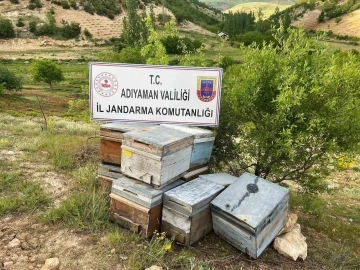 Çalınan arı kovanları jandarma tarafından bulundu
