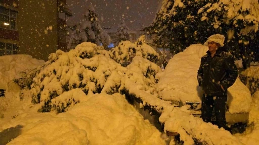 &Ccedil;am ağacı park halindeki iki aracın &uuml;zerine devrildi

