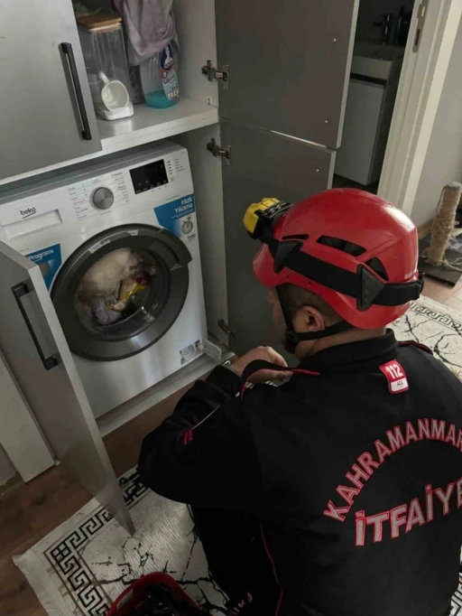 Çamaşır makinesindeki kedi kurtarıldı
