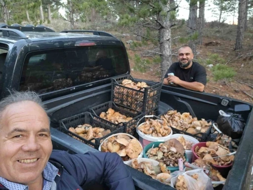 Çameli’de cintar bereketi
