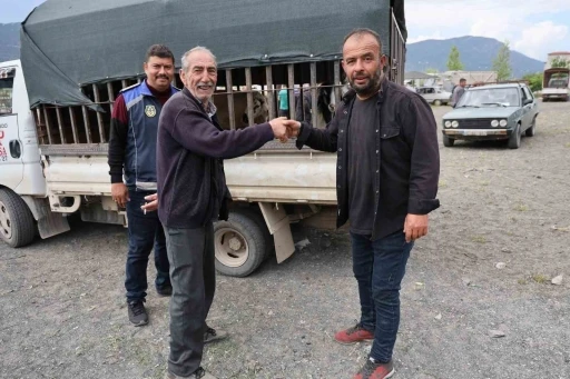 &Ccedil;ameli Kurban Pazarında bayram yoğunluğu ve sıkı denetim başladı
