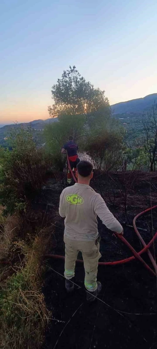 &Ccedil;amlıbel de ot yangını korkuttu
