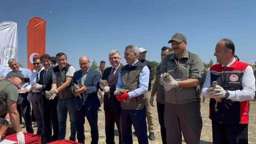 &Ccedil;amlık Milli Parkı&rsquo;nda bin keklik doğaya kanat &ccedil;ırptı
