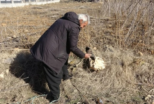 &Ccedil;amurlu ayakkabısını &ccedil;ıkarıp markette alışveriş yapmıştı: "Yine olsa yine yaparım"

