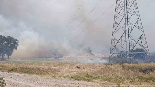 Çan’da tarım arazisinde çıkan yangın kontrol altına alındı
