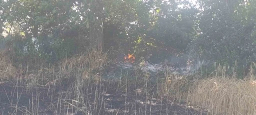 &Ccedil;an&rsquo;da tarla yangınında 2 ekili alan k&uuml;l oldu
