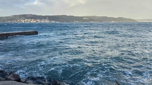 &Ccedil;anakkale boğaz hattında feribot seferleri yeniden başladı
