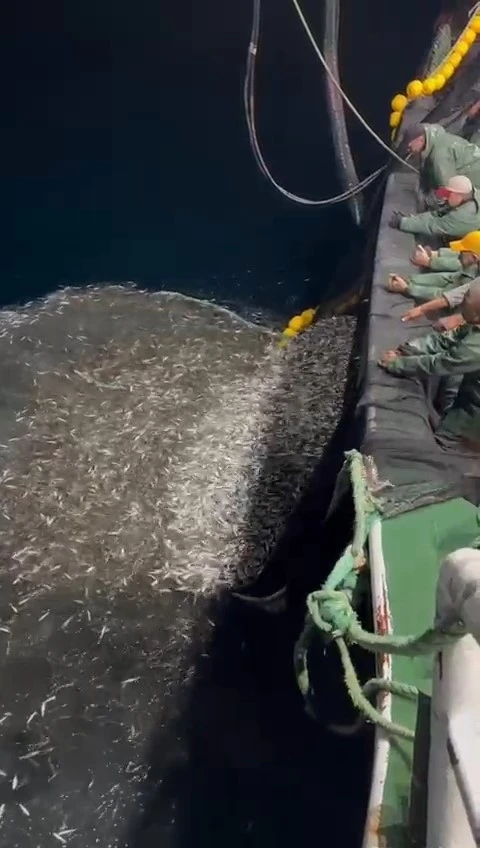 Çanakkale’de balıkçılardan örnek avcılık, yavru balıkları denize geri saldı
