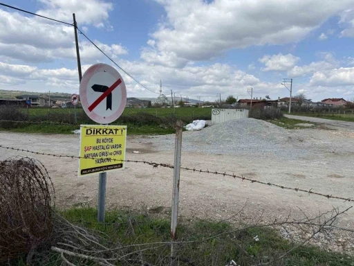 Çanakkale’de bir köye daha şap karantinası
