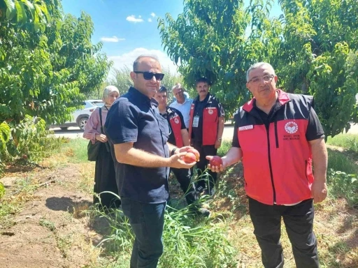 &Ccedil;anakkale&rsquo;de bitkisel &uuml;retim projeleri değerlendirildi
