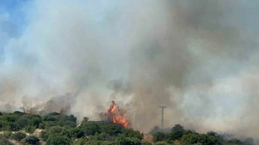 &Ccedil;anakkale&rsquo;de bozuk orman sahasında yangın
