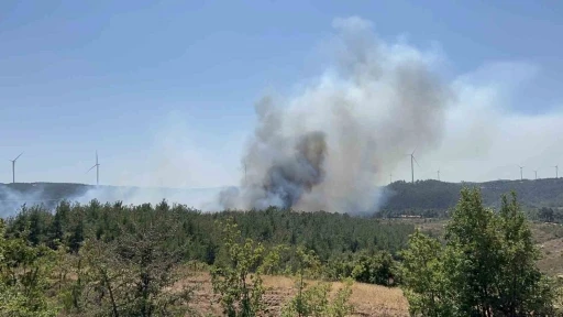 Çanakkale’de orman yangını
