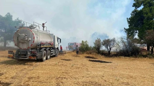 Çanakkale’de orman yangını kontrol altına alındı
