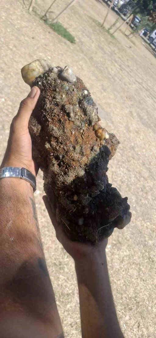 &Ccedil;anakkale&rsquo;de plajda patlamamış askeri m&uuml;himmat bulundu
