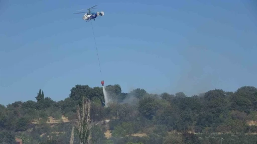 Çanakkale’de tarım arazilerinde çıkan yangın kontrol altına alındı
