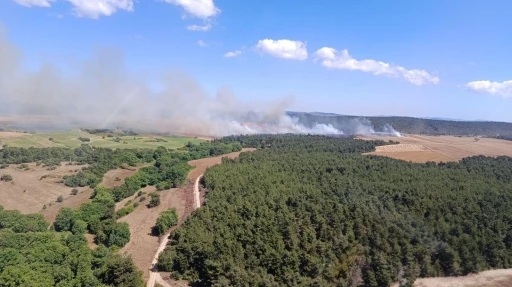 &Ccedil;anakkale&rsquo;de tarım arazisinde başlayan yangın ormana sı&ccedil;radı
