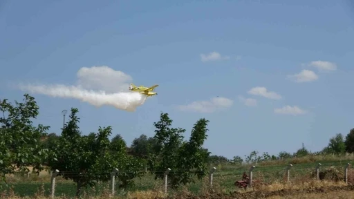 Çanakkale’de tarım arazisinde başlayan yangın ormanlık alana sıçradı
