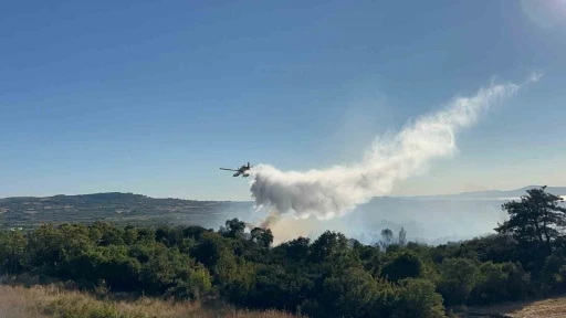 Çanakkale’de tarım arazisinde başlayarak ormanlık alana sıçrayan yangın kontrol altına alındı
