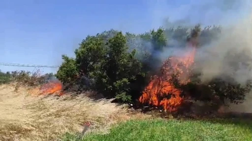 &Ccedil;anakkale&rsquo;de tarım arazisinde yangın
