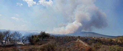Çanakkale’de tarım arazisinde yangın
