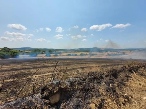 Çanakkale’de tarım arazisinde yangın
