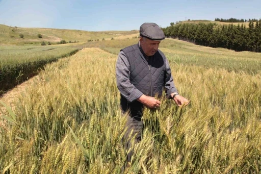 Çanakkale’de tarla günü düzenlendi
