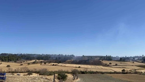 Çanakkale’deki orman yangını kontrol altına alındı
