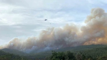 Çanakkale’deki orman yangınında 700 hektarlık alan zarar gördü
