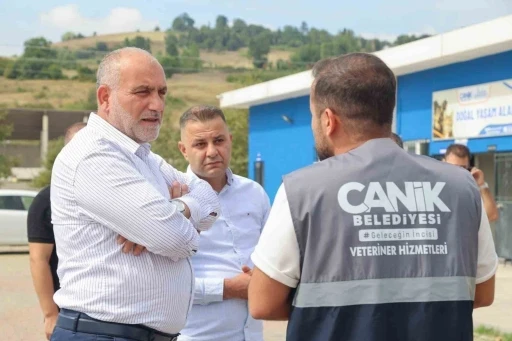 Canik Belediyesi doğal yaşam alanıyla can dostlara kucak a&ccedil;ıyor
