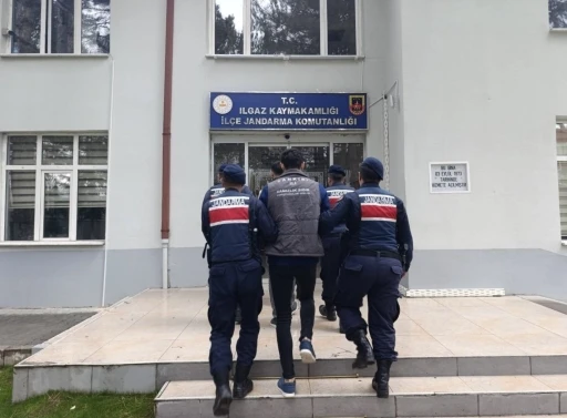 &Ccedil;ankırı&rsquo;da b&uuml;y&uuml;kbaş hayvan &ccedil;alan şahıslar tutuklandı
