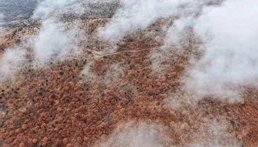 Çankırı’da sis ve kızıla bürünen ormanların buluşması mest etti
