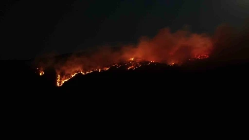 Çankırı’daki orman yangını havadan görüntülendi
