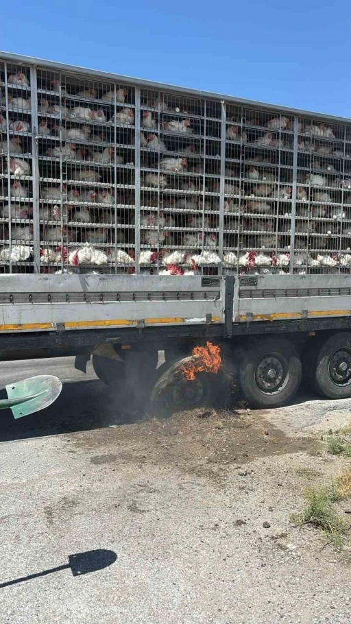 Canlı tavuk dolu tırda yangın paniği
