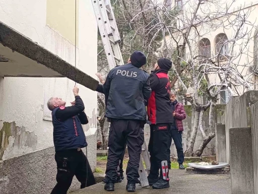 &Ccedil;atı katında mahsur kalan kediyi polis ve itfaiye kurtardı
