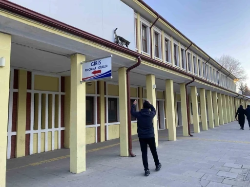 &Ccedil;atıda mahsur kalmış gibi bağırıp gen&ccedil;lerle oynayan kedi yine aynısını yaptı
