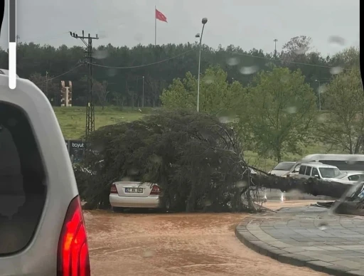 &Ccedil;atılar u&ccedil;tu, ağa&ccedil;lar devrildi, park halindeki ara&ccedil;lar b&uuml;y&uuml;k zarar g&ouml;rd&uuml;
