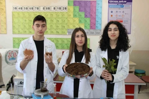 &Ccedil;ay atığından antibakteriyel &uuml;r&uuml;n geliştirdiler

